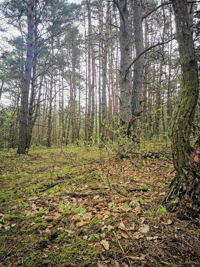 Hotel Szablewski Dymaczewo Nowe Dış mekan fotoğraf